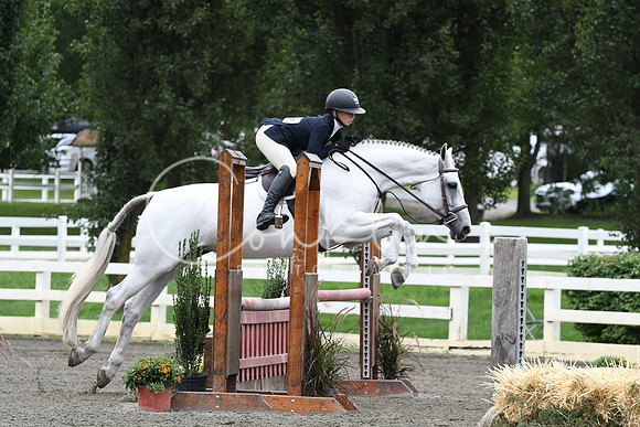 HSM_4371