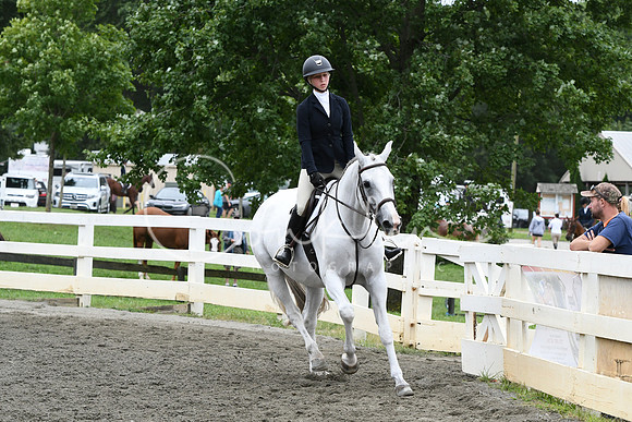HSM_4372
