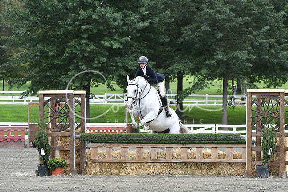 HSM_4411