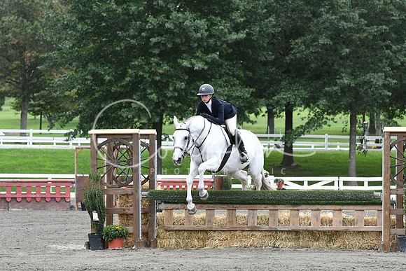 HSM_4413