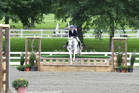 HSM_4431