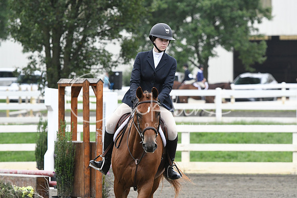 HSM_2319