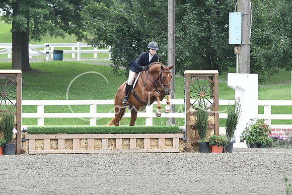HSM_2328
