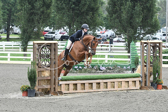 HSM_2329
