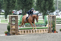 HSM_2331
