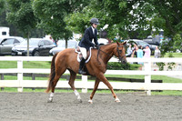 HSM_2338