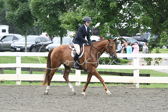 HSM_2338