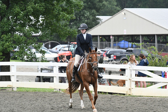 HSM_2341