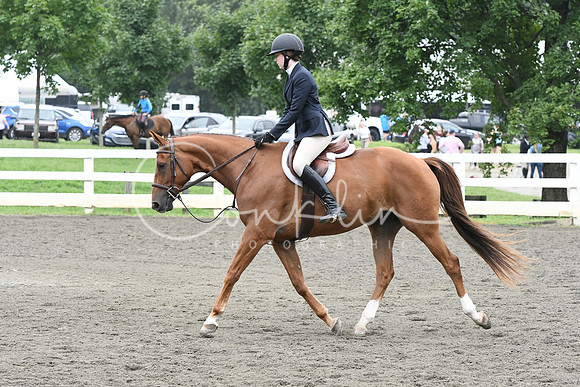 HSM_2344