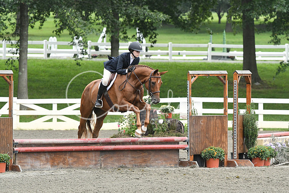 HSM_2408
