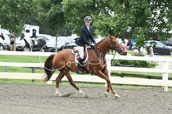 HSM_2409