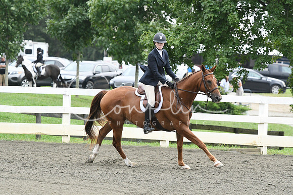 HSM_2410