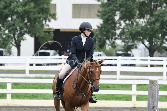 HSM_2419