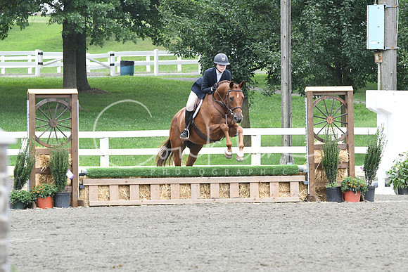 HSM_2461