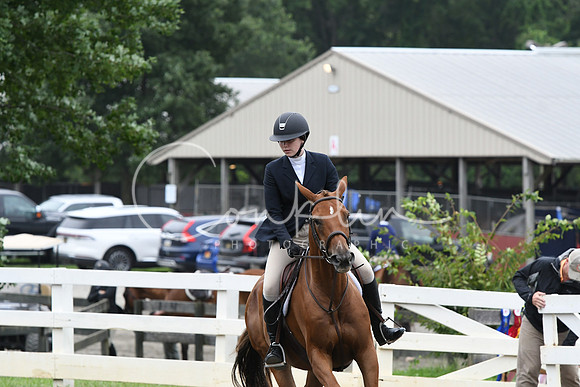 HSM_2471
