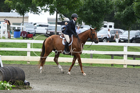 HSM_2473