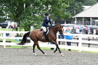 HSM_1528