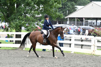 HSM_1529