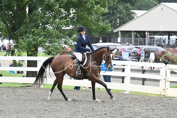 HSM_1529