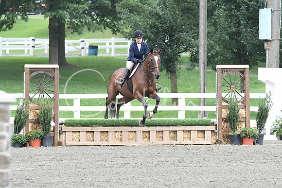 HSM_1531