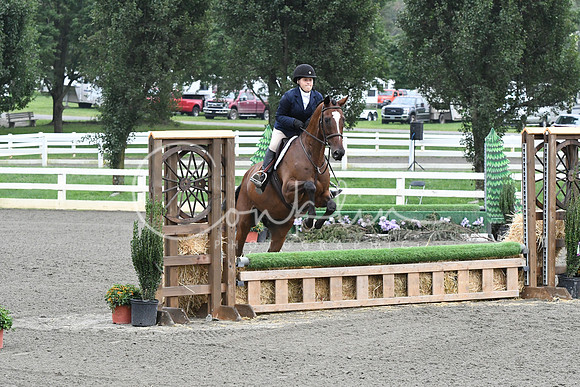 HSM_1532