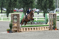 HSM_1533