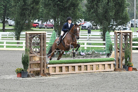 HSM_1533