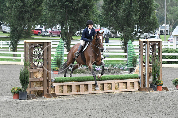 HSM_1534