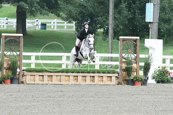 HSM_0878