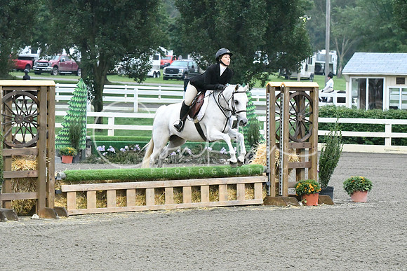 HSM_0881