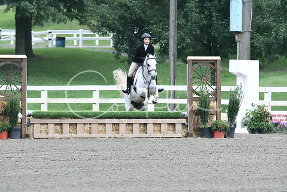 HSM_0944