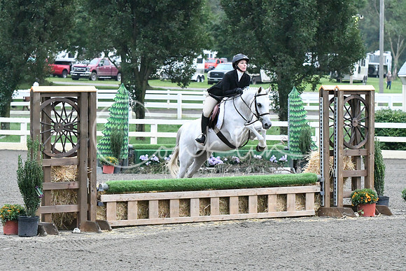 HSM_0947