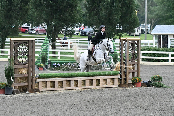 HSM_1006