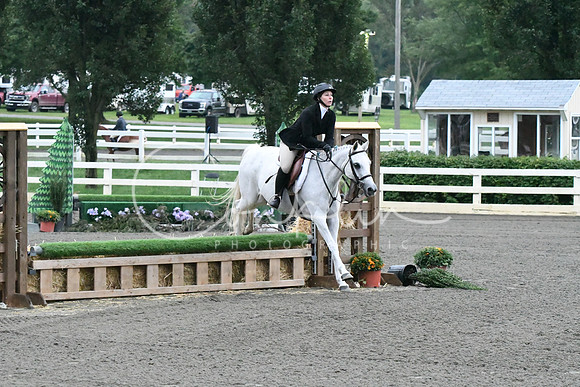 HSM_1008