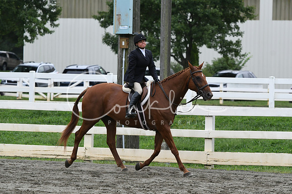 HSM_3319
