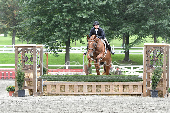 HSM_3398