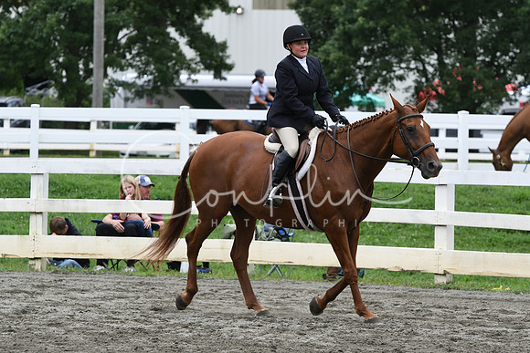 HSM_3408