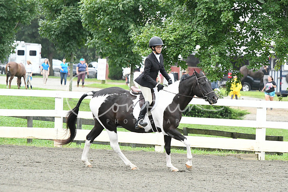 HSM_1206