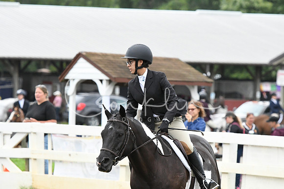 HSM_1208