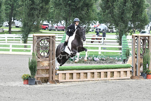 HSM_1213