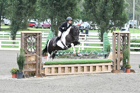 HSM_1214