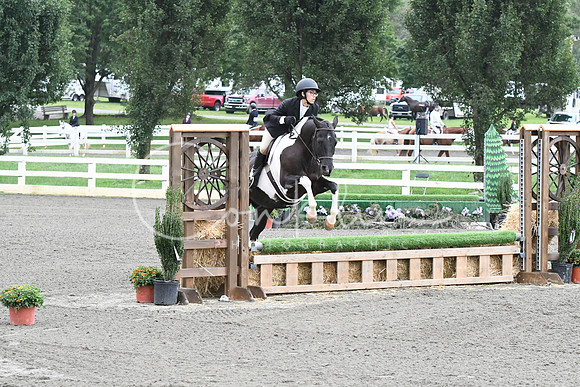 HSM_1251
