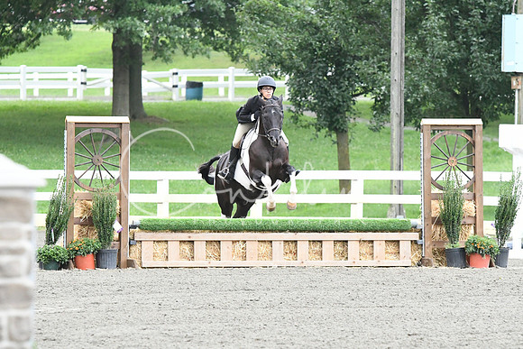 HSM_1248