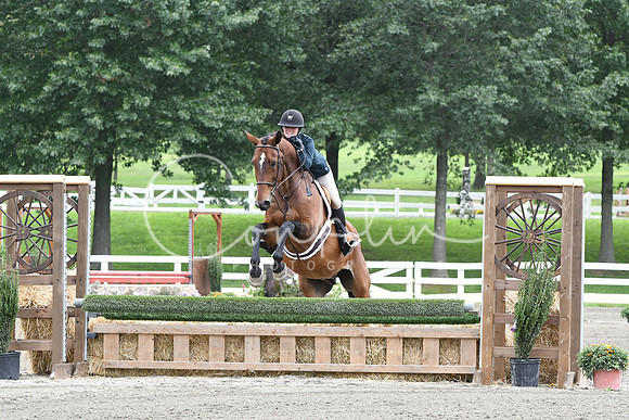 HSM_2672