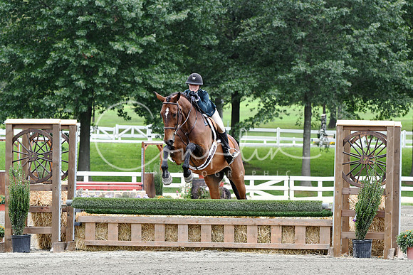 HSM_2673