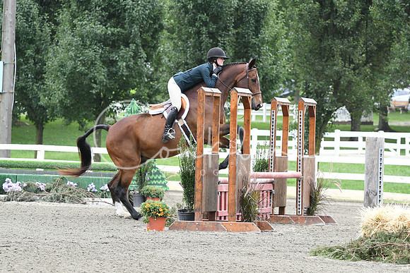 HSM_2677