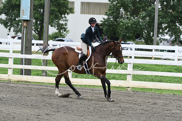 HSM_2679
