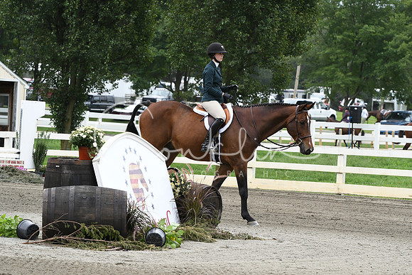 HSM_2685