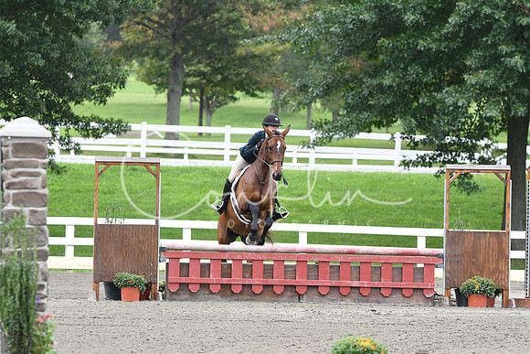 HSM_2731