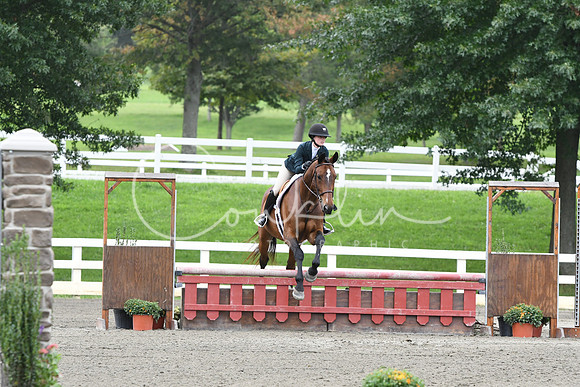 HSM_2733